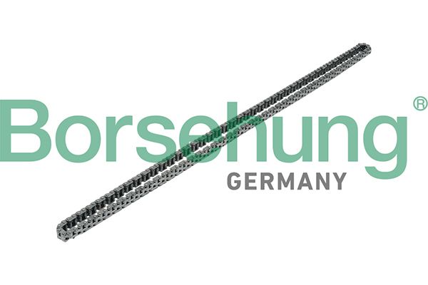 TIMING CHAIN BORSEHUNG VAG