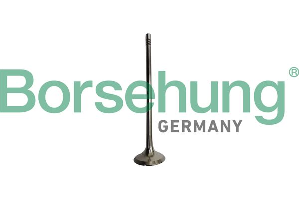 EXHAUST VALVE BORSEHUNG BMW PSA