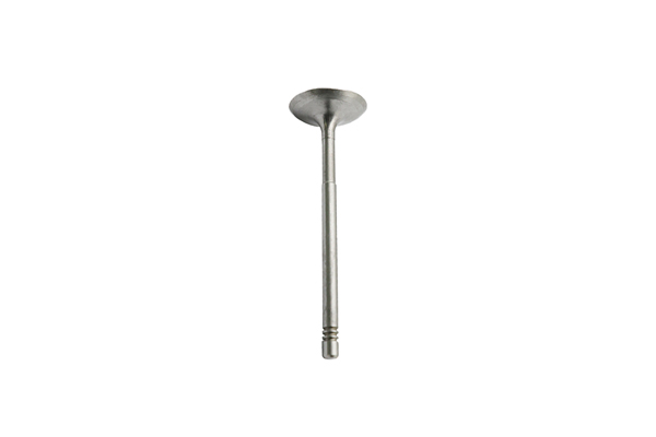 EXHAUST VALVE BORSEHUNG MERC