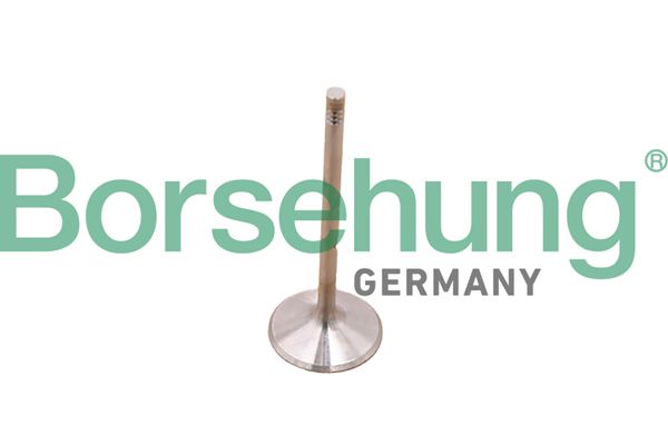 EXHAUST VALVE BORSEHUNG MERC