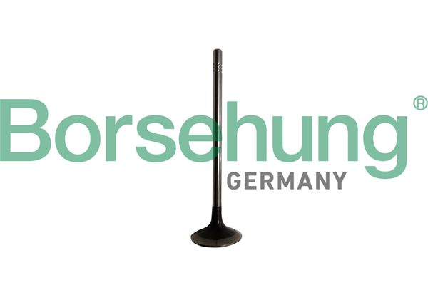 EXHAUST VALVE BORSEHUNG VAG