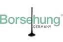 EXHAUST VALVE BORSEHUNG VAG