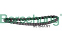 OIL PUMP CHAIN BORSEHUNG VAG