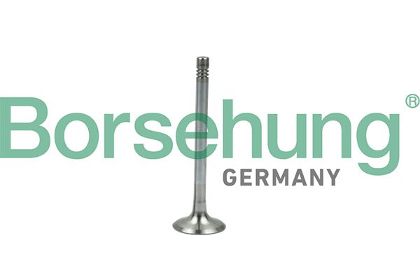 EXHAUST VALVE BORSEHUNG VAG