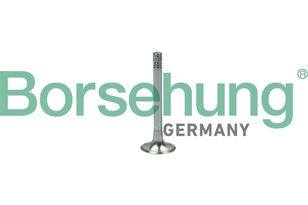 EXHAUST VALVE BORSEHUNG VAG