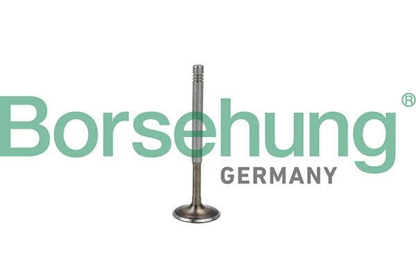 EXHAUST VALVE BORSEHUNG VAG