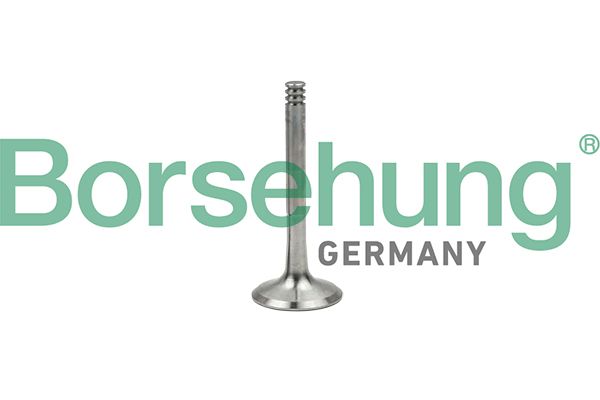 EXHAUST VALVE BORSEHUNG VAG