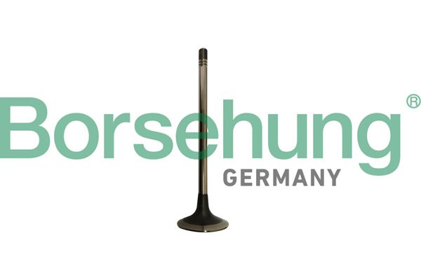 EXHAUST VALVE BORSEHUNG VAG