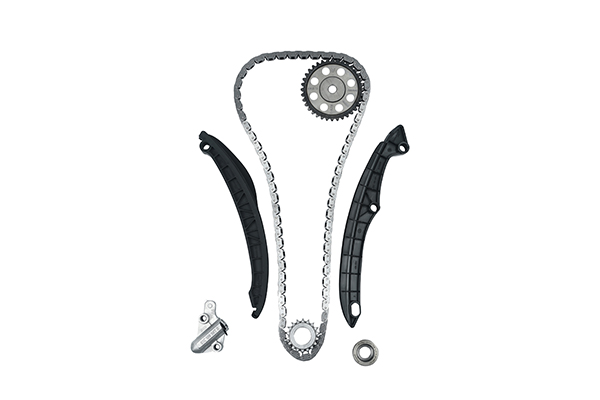 TIMING CHAIN KIT BORSEHUNG VAG