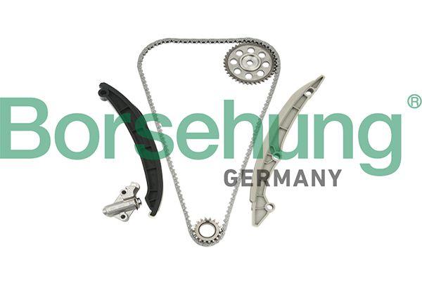 TIMING CHAIN KIT BORSEHUNG VAG - 1.4L CAXA/CAXC/CAVA/CAVD/CTHA/CTHD/CTKA CNWA/CMSB, WITH CHAIN SPROCKETS