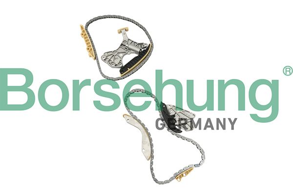 TIMING CHAIN KIT BORSEHUNG VAG