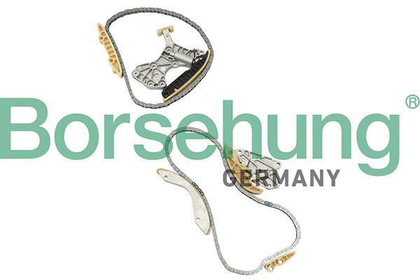 TIMING CHAIN KIT BORSEHUNG VAG