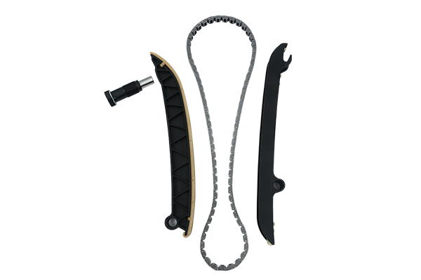 TIMING CHAIN KIT BORSEHUNG VAG