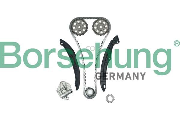 TIMING CHAIN KIT BORSEHUNG VAG - 1.2L CGPA/CGPC/CJLA
