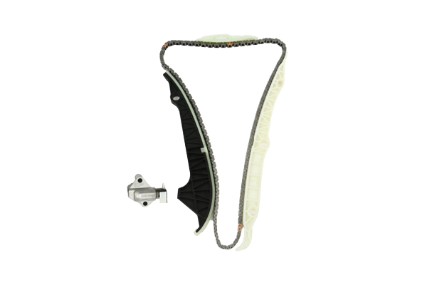 TIMING CHAIN KIT BORSEHUNG VAG
