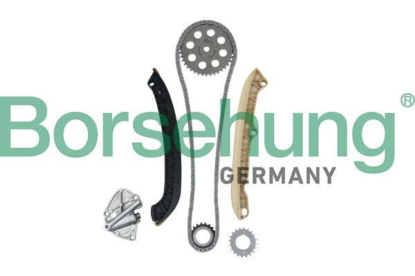 TIMING CHAIN KIT BORSEHUNG VAG - 1.2L AWY/BMD/BBM