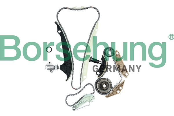 TIMING CHAIN KIT BORSEHUNG VAG