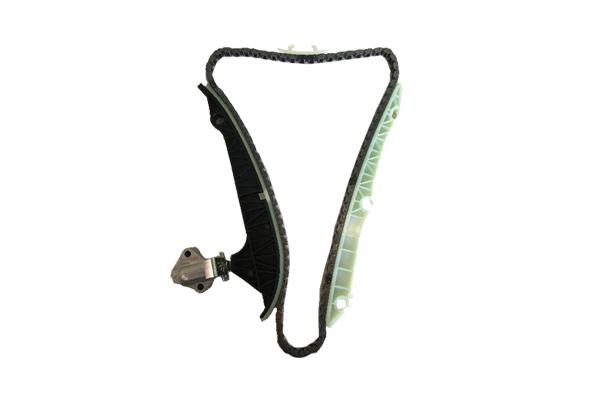 TIMING CHAIN KIT BORSEHUNG VAG