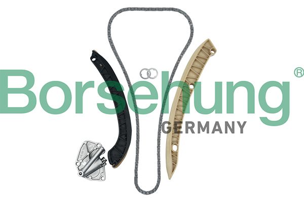 TIMING CHAIN KIT BORSEHUNG VAG