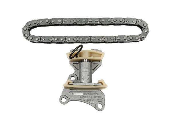 TIMING CHAIN KIT BORSEHUNG VAG