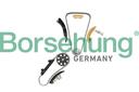 TIMING CHAIN KIT BORSEHUNG VAG