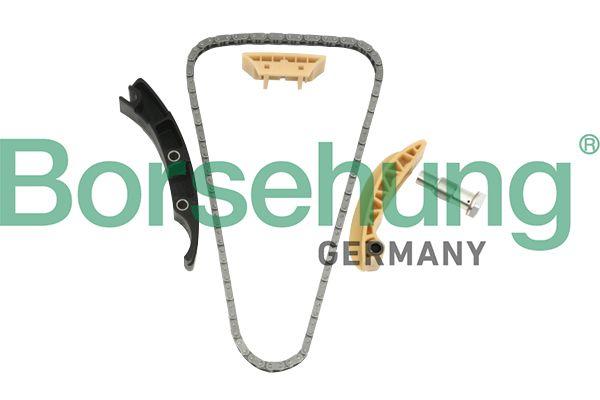 TIMING CHAIN KIT BORSEHUNG VAG