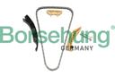 TIMING CHAIN KIT BORSEHUNG VAG