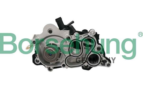 WATER PUMP [COMPLETE] BORSEHUNG VAG