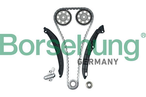 TIMING CHAIN KIT W/GEARS BORSEHUNG VAG - (FROM 2012->) CAVA CAVD CAXA CAXC CFNA CFNB CNWA -