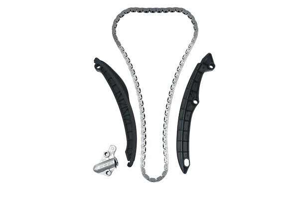 TIMING CHAIN KIT W/O GEARS BORSEHUNG VAG