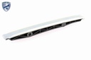 TIMING CHAIN RAIL VAICO MERC