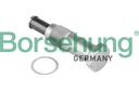 TIMING CHAIN TENSIONER BORSEHUNG BMW