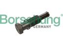 TIMING CHAIN TENSIONER BORSEHUNG BMW