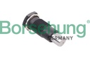 TIMING CHAIN TENSIONER BORSEHUNG VAG