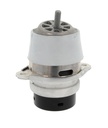 ENGINE MOUNT CORTECO VAG