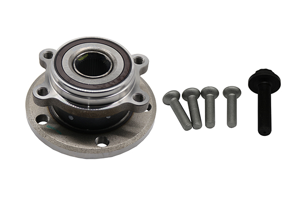 WHEEL BEARING KIT F/R BORSEHUNG VAG