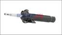 SHOCK ABSORBER ASSY LHF BOGAP BMW