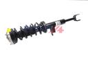 SHOCK ABSORBER ASSY LHF BOGAP BMW