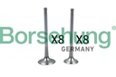 INLET & EXHAUST VALVE SET BORSEHUNG VAG
