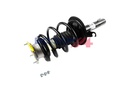 SHOCK ABSORBER ASSY RHF BOGAP BMW