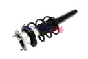 SHOCK ABSORBER ASSY RHF BOGAP BMW