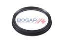 FUEL PUMP SEAL BOGAP BMW