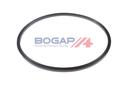 FUEL PUMP SEAL BOGAP BMW