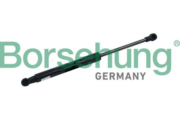 BONNET SHOCK BORSEHUNG VAG