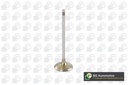 INLET VALVE BGA BMW