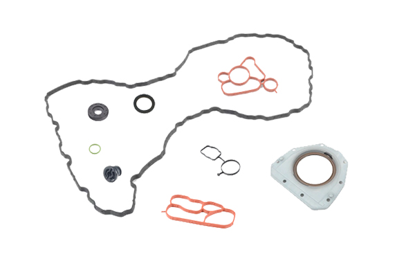 GASKET AND SEAL KIT BORSEHUNG VAG