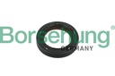 CRANK/CAM SEAL BORSEHUNG VAG