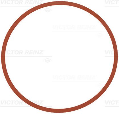 INTAKE MANIFOLD GASKET VICTOR REINZ BMW