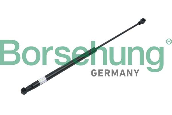 BOOT SHOCK BORSEHUNG VAG
