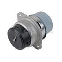 ENGINE MOUNT OSSCA VAG